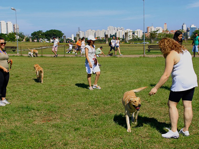 Treinamento para cães Parque Villa Lobos