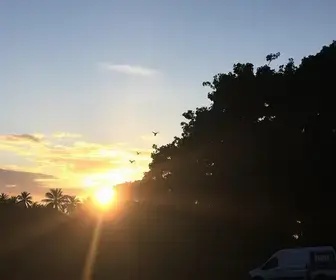 FJU Sunset